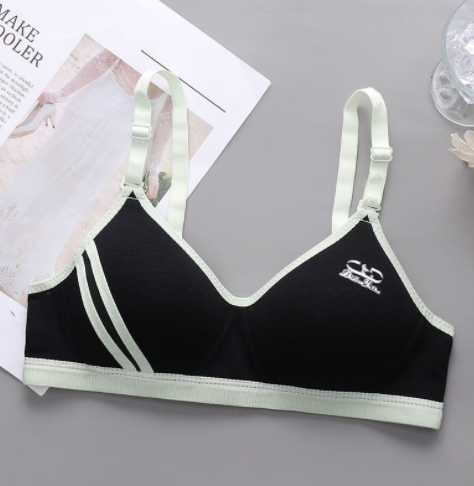 Title 4, Japanese Style Small Chest Push Up Bra