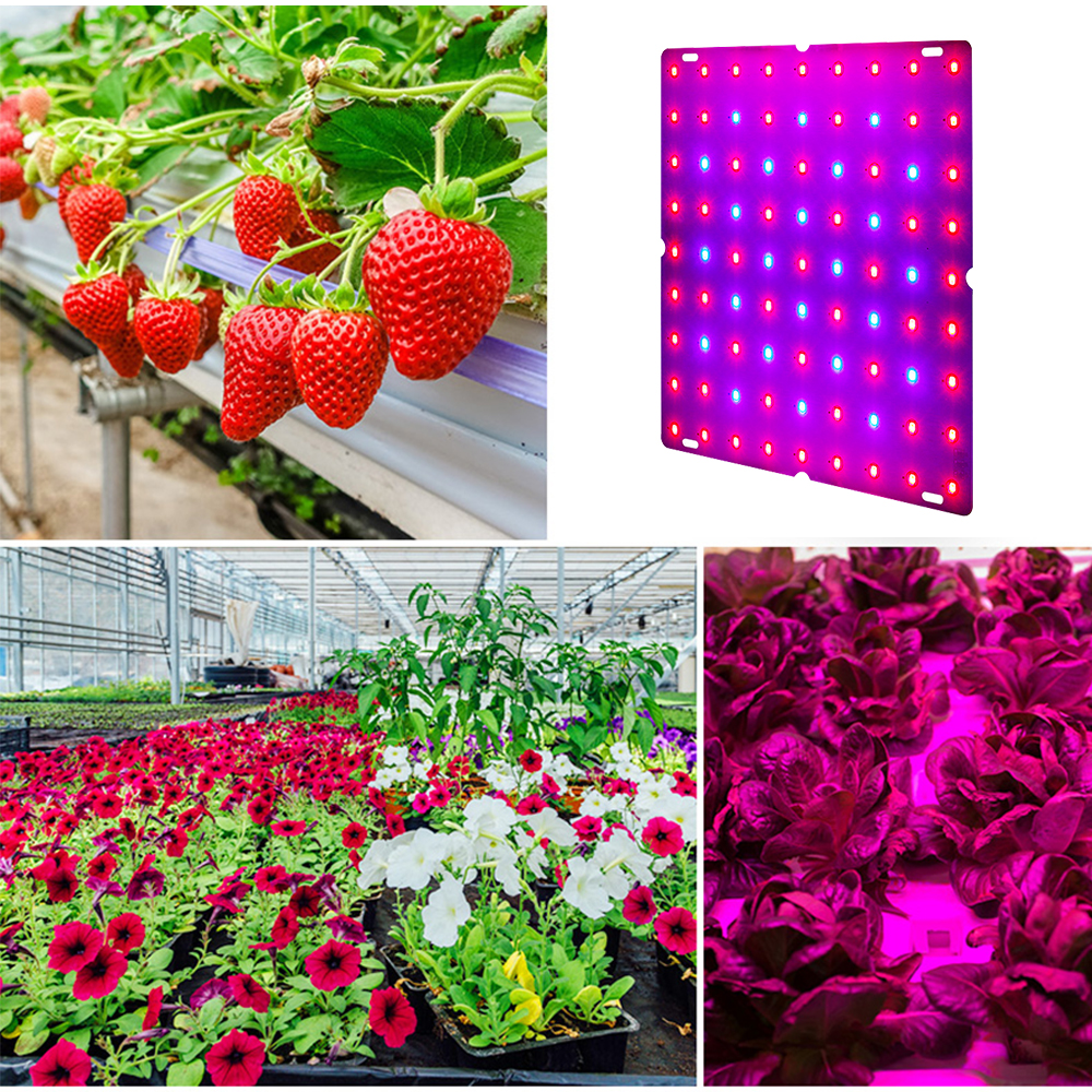 LED Grow Light Kit Full Spectrum Hydroponic Red Blue Lamp Indoor Plants UK Plug — image 5