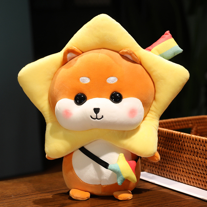 Star Wish Shiba Inu