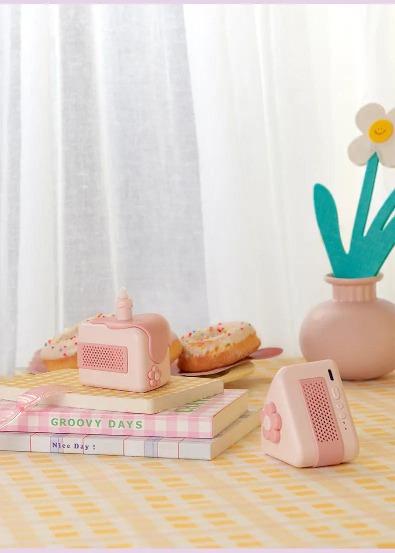 Distinctive Cake Speaker Senior Birthday Gift