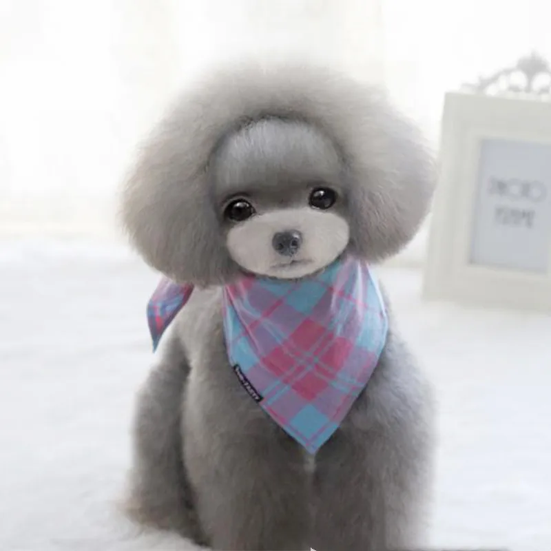 Teddy French Bucket Cotton Plaid Saliva Towel