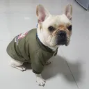 Armygreen
