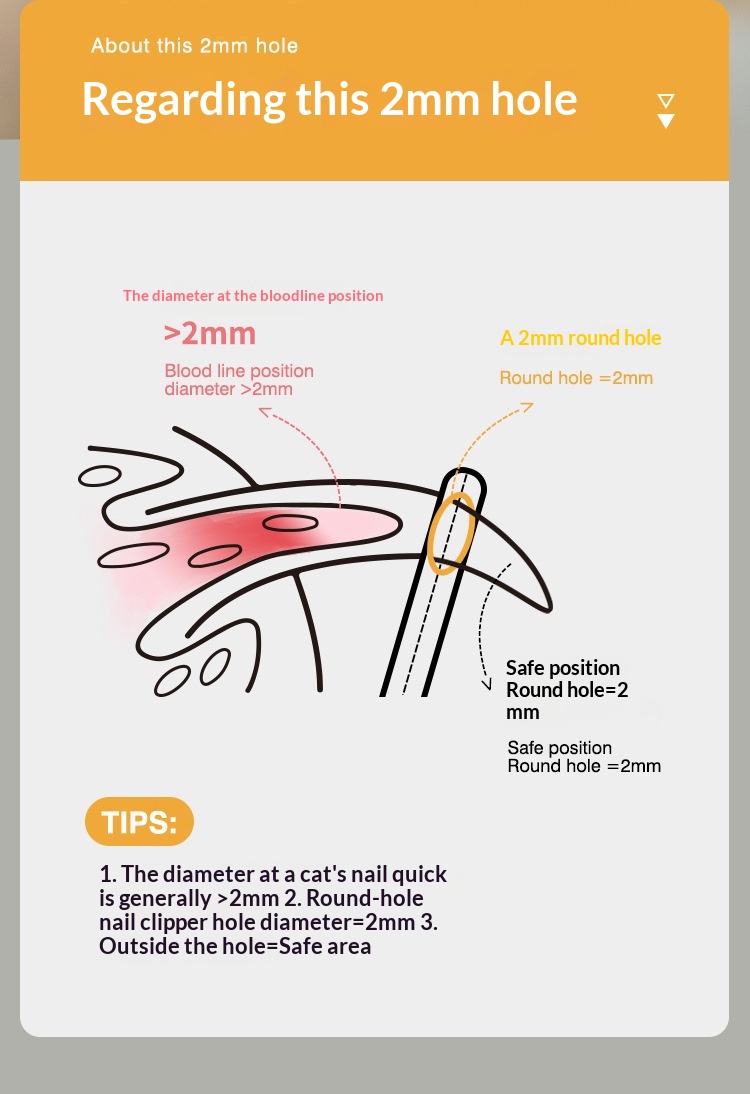 Little Rabbit Blind Cutters Pet Nail Cutters Cat Nail Cutters Anti-Catch Cat Nail Cutters Baby Cat Claw Cutters Anti-Cut Blood Line Round Hole detail photo 2