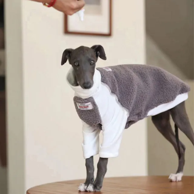 Small And Medium Dog Clothes Whybit Greyhound Accessories Purple - Shop at LoveMi