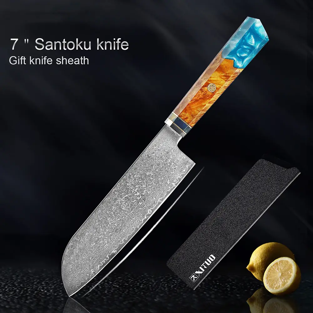 Damascus Stainless Steel Kitchen Knife
