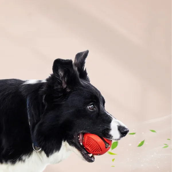 Missing Food Alone Card Food Elastic Solid Ball