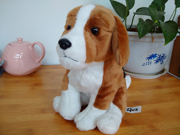 Beagle Hound