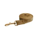 Dog Leash3