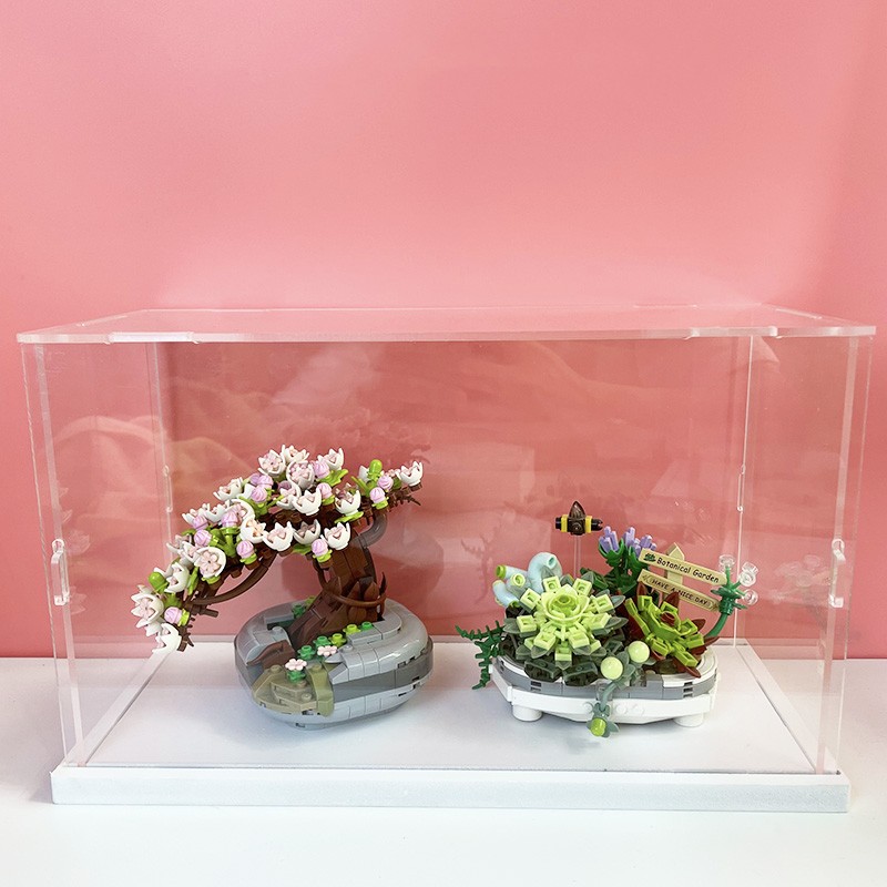 Cherry blossom and succulent