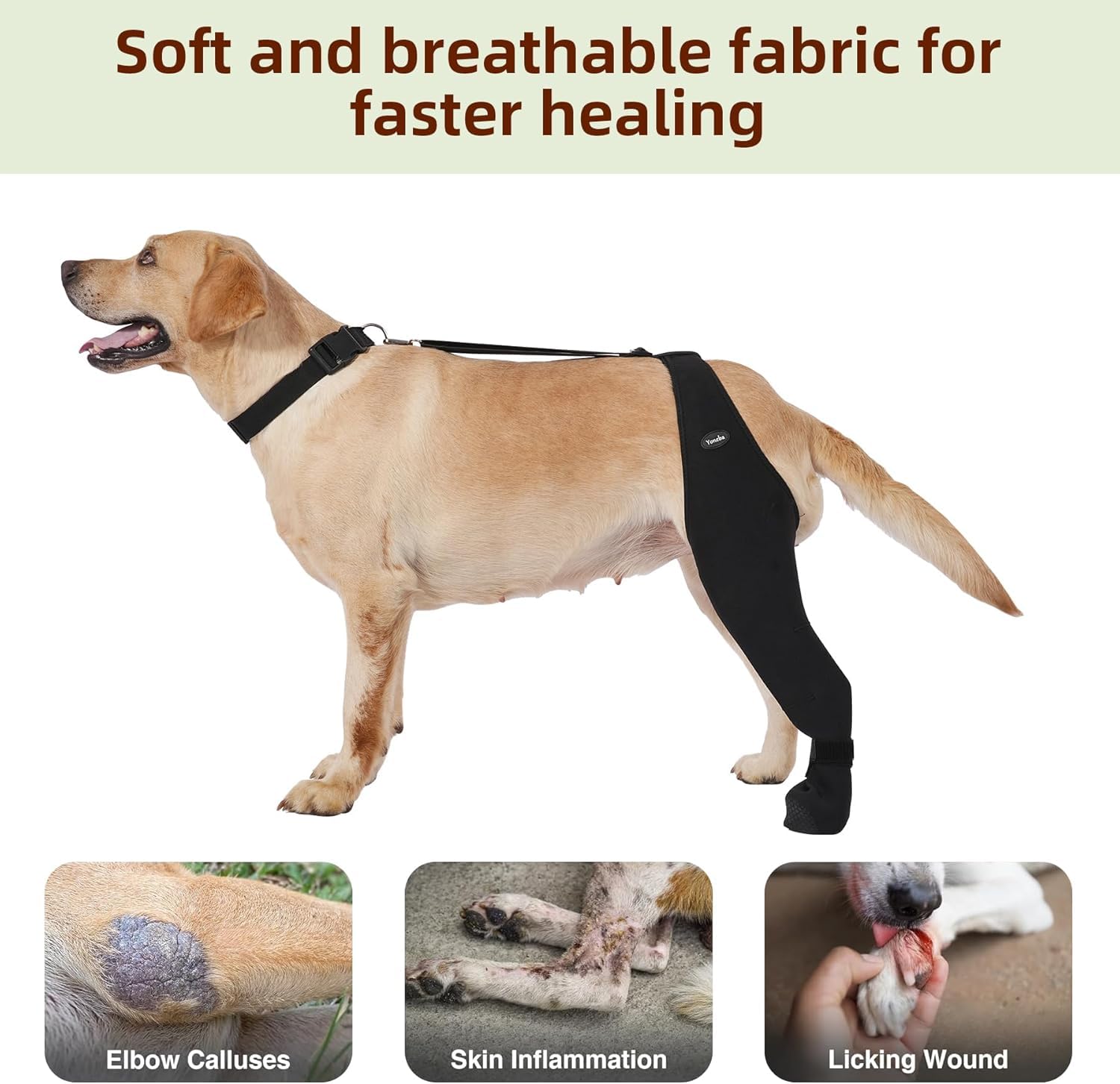 Chaussettes anti-léchage pour chien – Protège-pattes respirantes et antidérapantes
