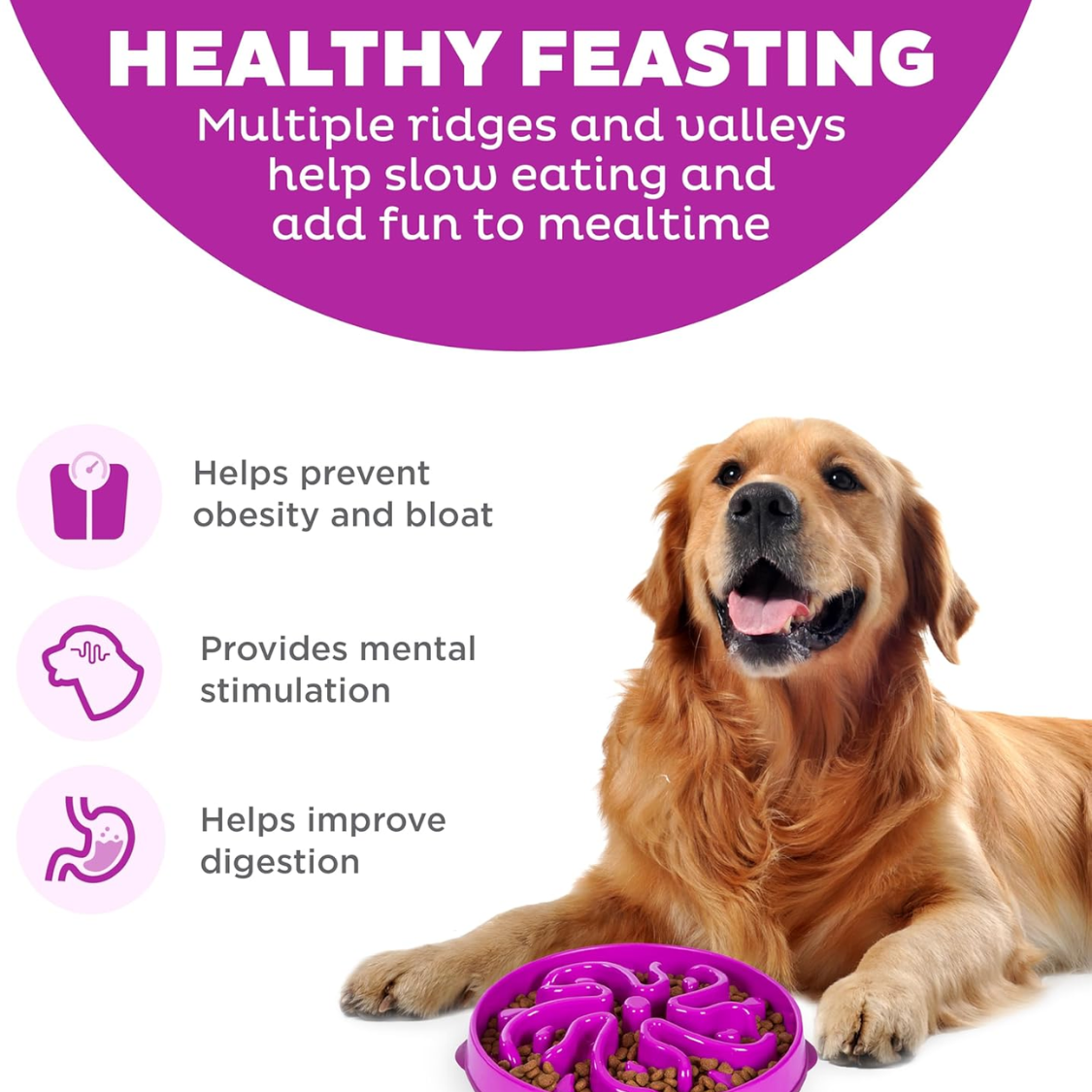 Hound Feeder Slo Bowl  Large 4 Cup Capacity, Slow Feeding, Medium To Large Dogs, Non Slip, Purple, Flower Pattern — foto 2
