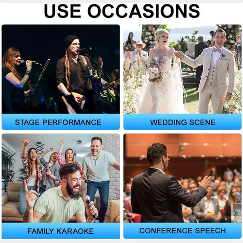 Professional 2 Channel UHF Wireless Dual Microphone Cordless Handheld Mic System 11