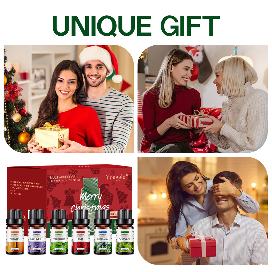 Custom Humidifier Essential Oil High Quality Natural Plant Scented Oil Lavender 6pcs Perfume Oil Kit Set 5