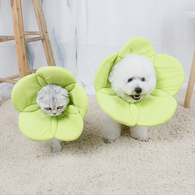 Title 8, Beauty flower anti-scratch pet protective cover...