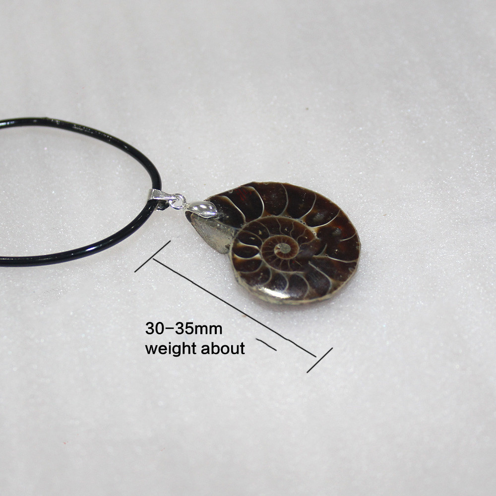 Natural Conch Fossil Pendant Necklace (One pretending.)