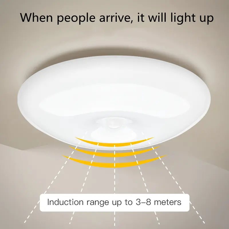 Human Induction Ceiling Lamp Infrared Garage Cloakroom Balcony Rechargeable