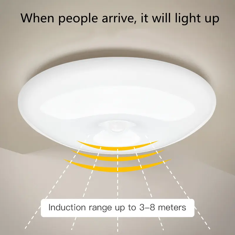 Human Induction Ceiling Lamp Infrared Garage Cloakroom