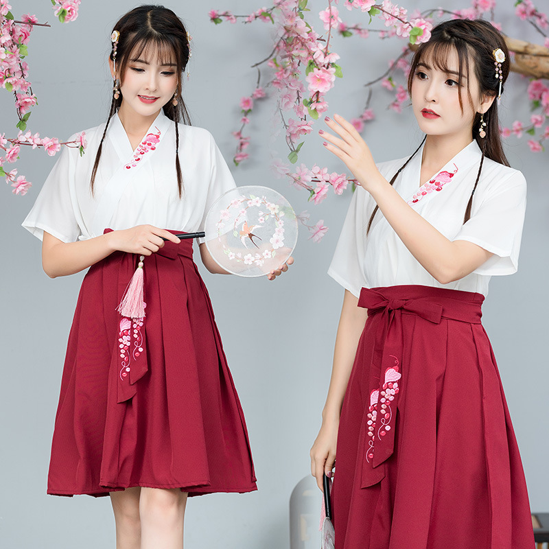 Summer Hanfu Embroidered Cross Collar Skirt
