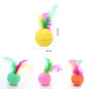 With Feather 10Pcs