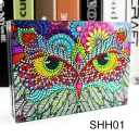 Ssh01 Owl1