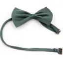Duck Green