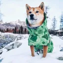 Emerald Green