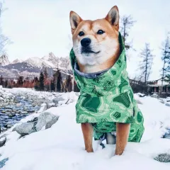 Autumn And Winter Quilted Snow Warm Dog Ski Suit - Emerald Green - View 1