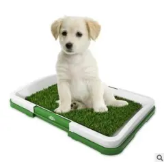 Flat Pet Toilet Dog Potty With Lawn Trumpet - White - View 1