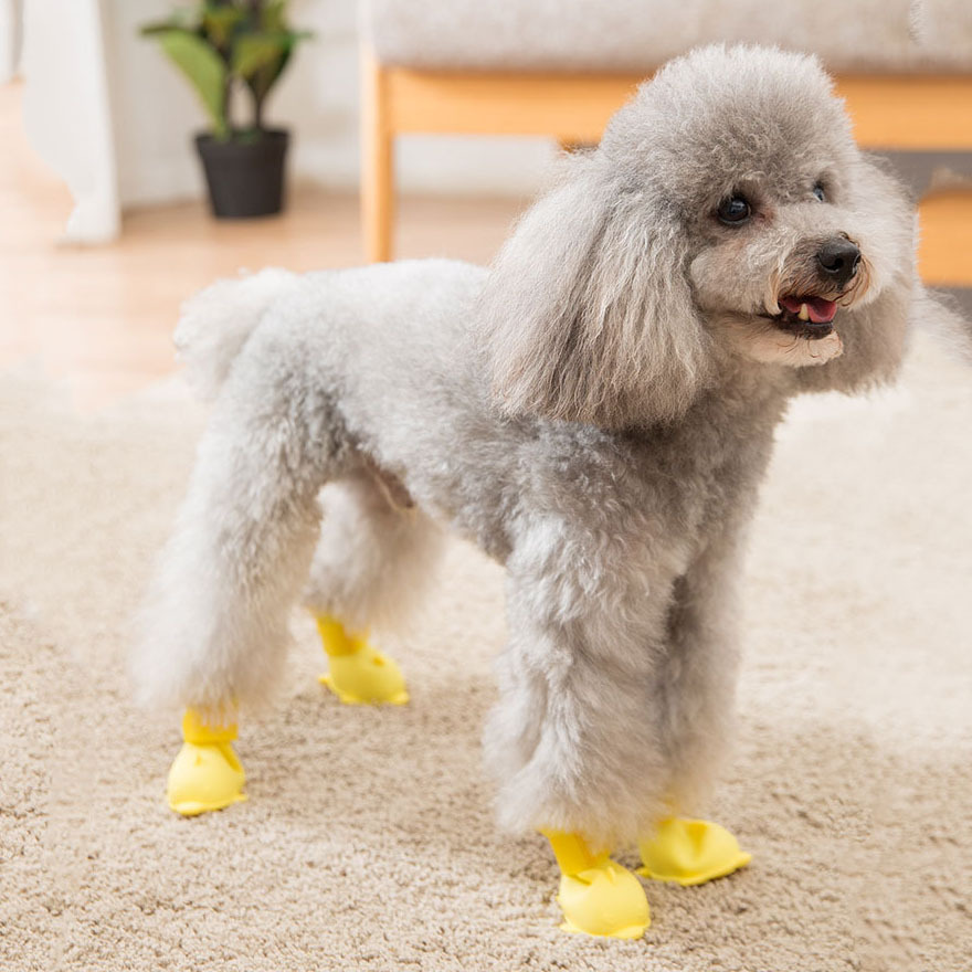 รองเท้าบูทกันน้ำเจลลี่ 4 นิ้ว สำหรับสัตว์เลี้ยง ป้องกันเท้าแฉะ สวมใส่สบาย สวยงาม น่ารัก