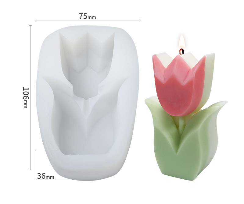 Tulip