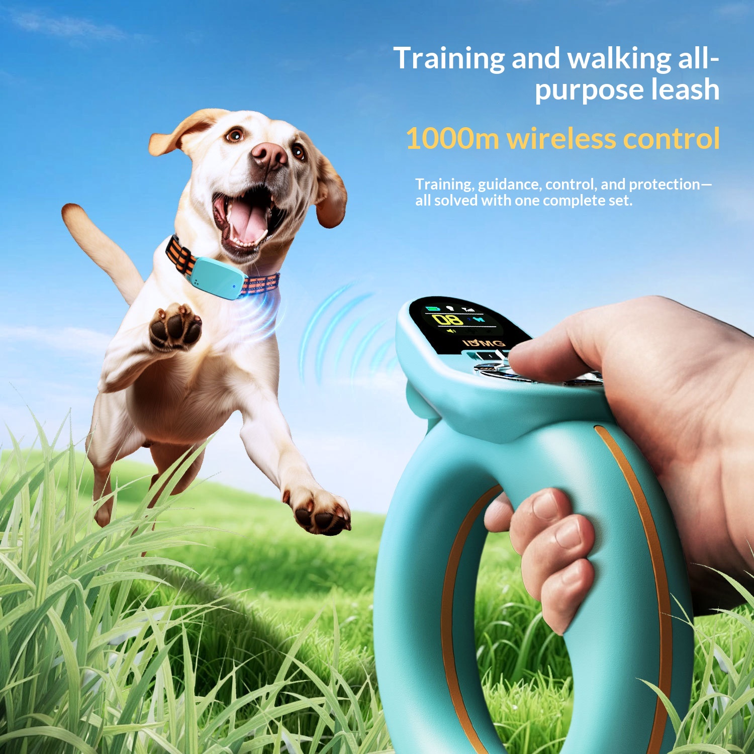 Smart Control Leash
