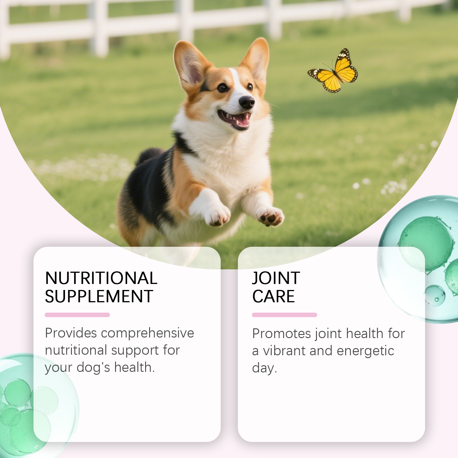 Kriath Pet Nutritional Drops - Gentle Formula For Coat And Skin Care, A Supplement To Main Dog Food — foto 4