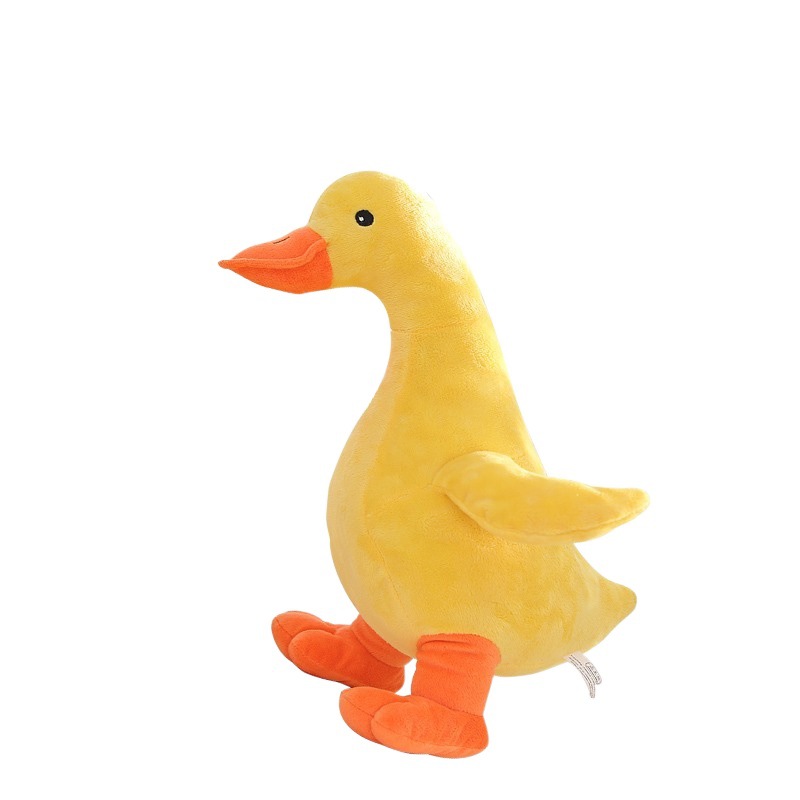 A duck