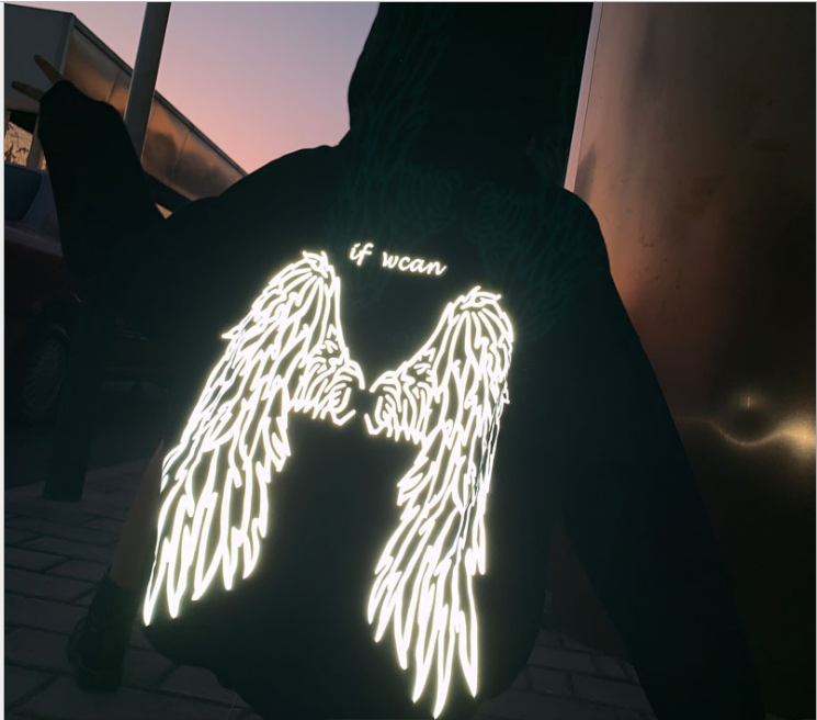 Title 5, Reflective wings sweatshirt