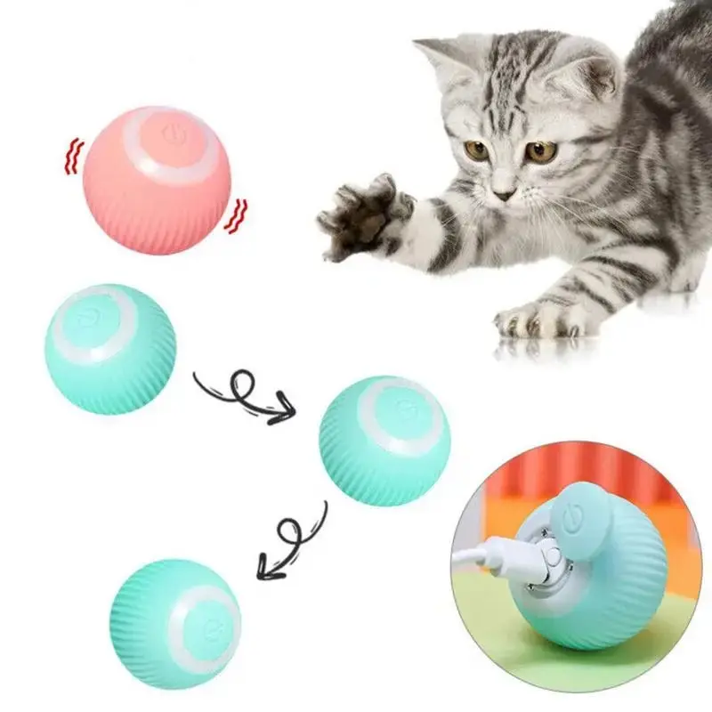 Electric Dog Cat Ball Toy, Indoor Large