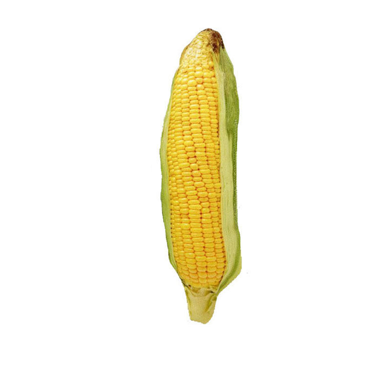 Corn