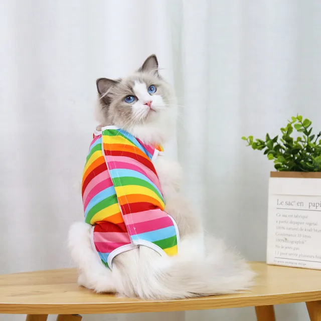 Cat Spay And Neuter Clothing Surgery Pet Supplies Colorful Stripes - Shop at LoveMi