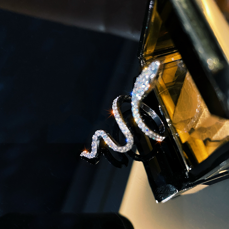 Snake Shaped Ring Girl Full Of Diamonds