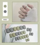 11Color