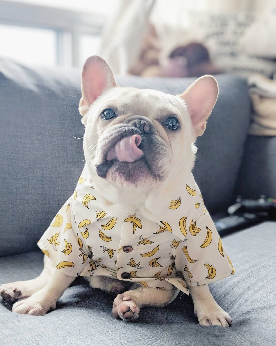 Banana shirt