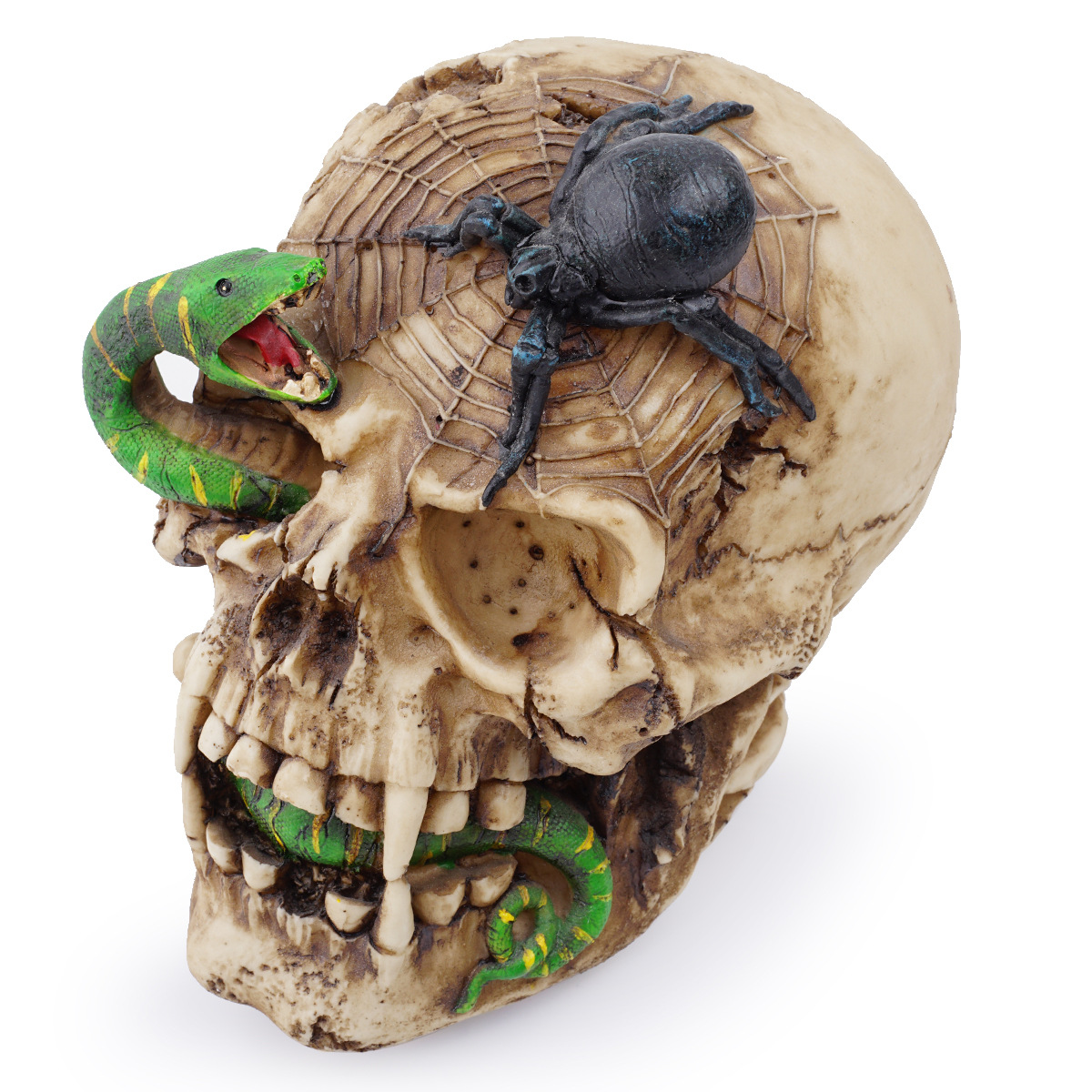 Resin skull human animal skull snake ornament halloween