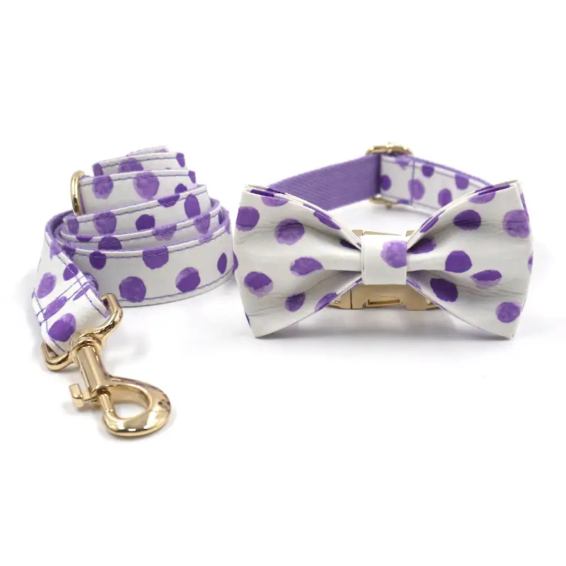 Wind Purple Polka Dot Dog Collar Leash Bow Set