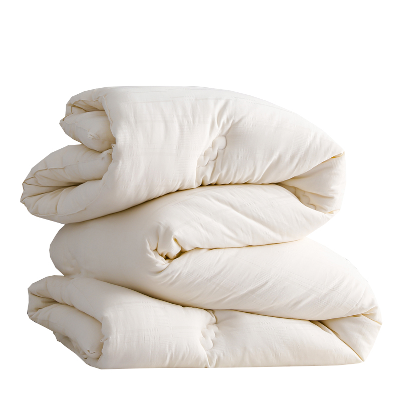 Single Double Spring And Autumn Quilt Antibacterial Quilt Core Cotton Winter