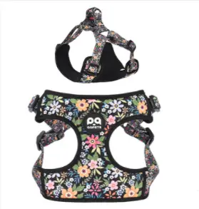 Dog Chest Harness Vest Type Gradient Color Small And Medium