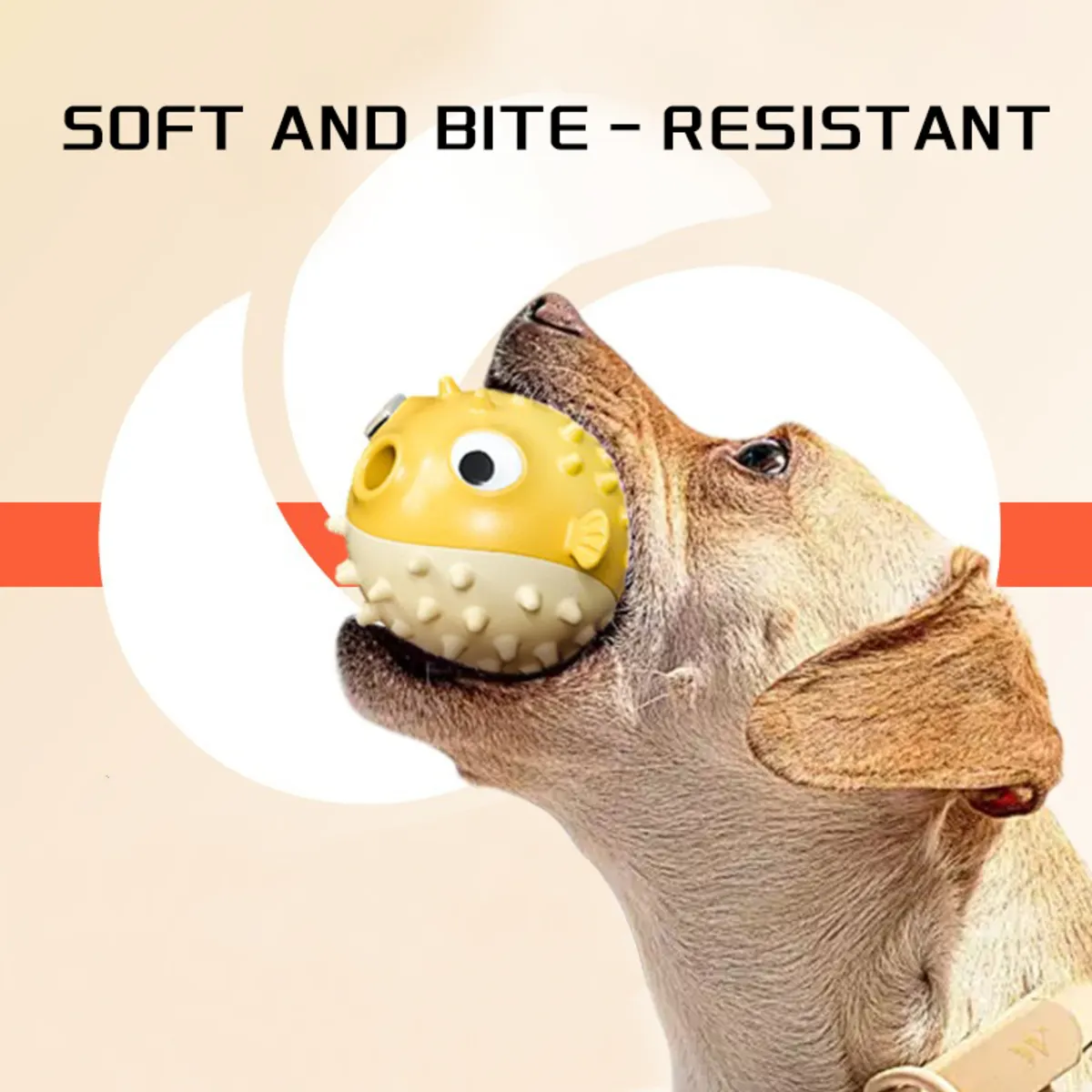 Dog Chew Toys
