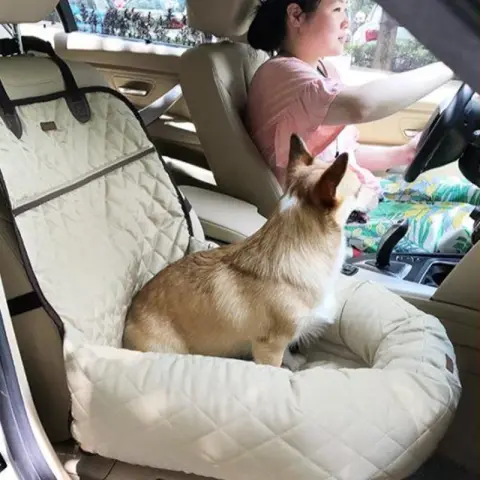Pet Dog and Cat Car Front and Rear Bed