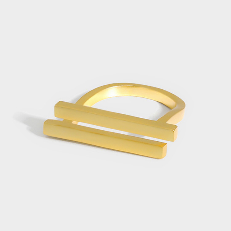 Design N Ring Frosty Wind Geometric Double Layer Glossy Women