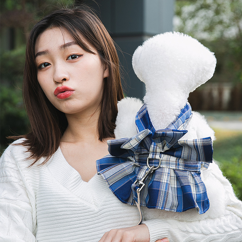 Jupe pour chien, corde de maintien à la main, fournitures pour animaux de petite et moyenne taille