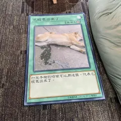 Shiba Inu Home Bedroom Bedside Living Room Carpet - View 1