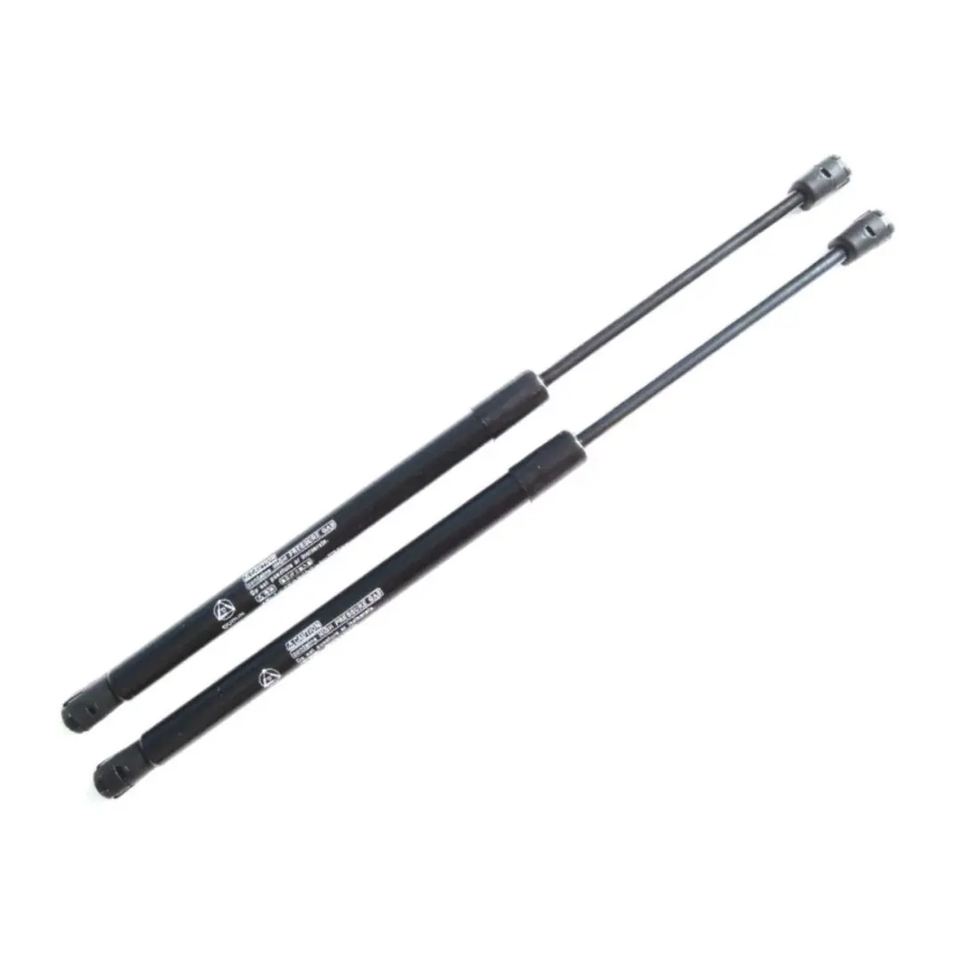 Pair Rear Hatch Liftgate Tailgate